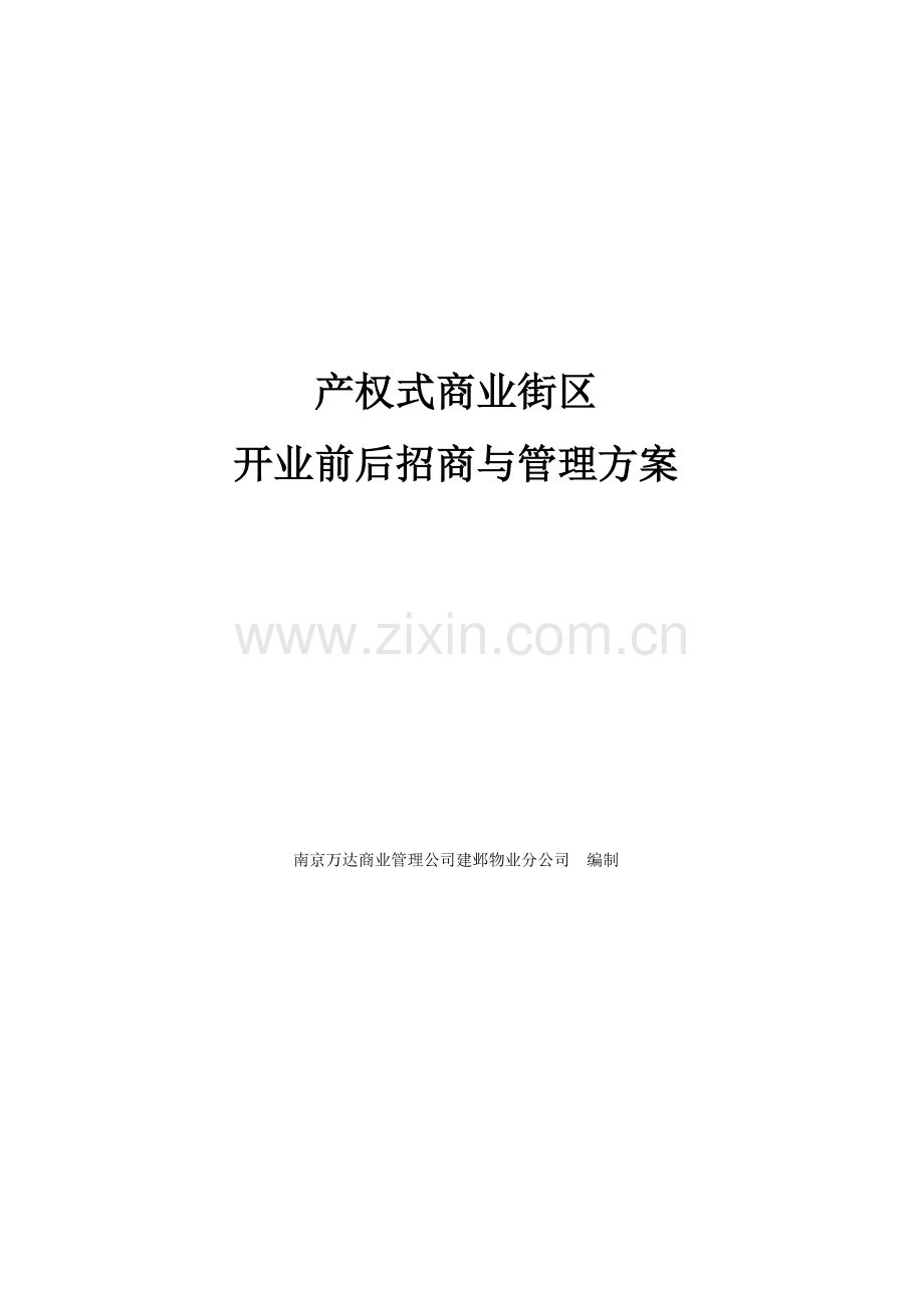 产权式商业街区开业前后招商与管理专题方案.docx_第1页