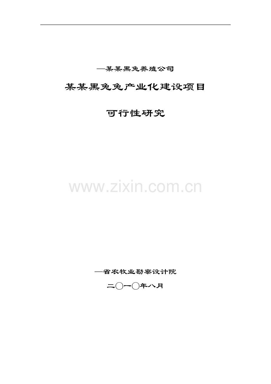 华誉黑兔兔化项目建设可行性研究报告.doc_第1页