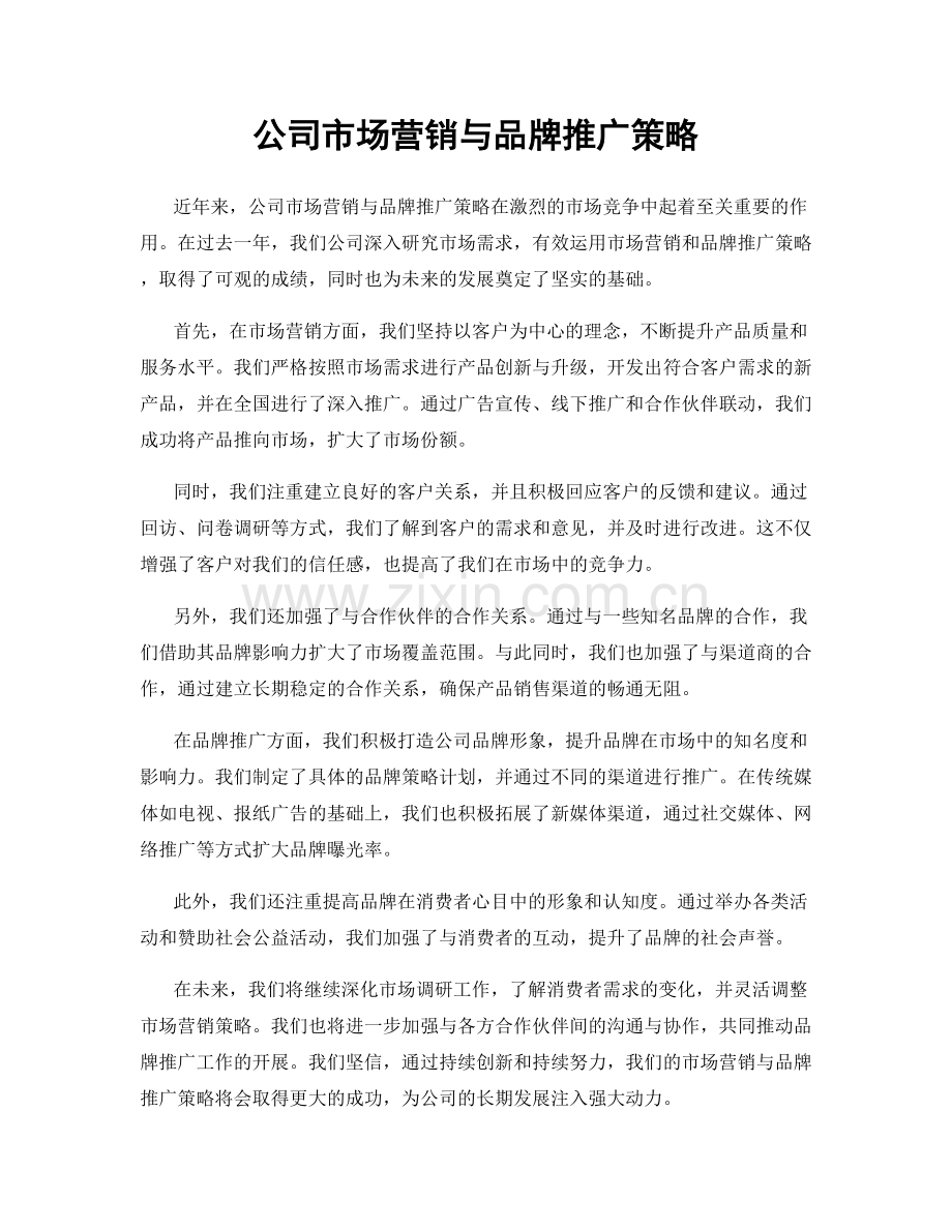 公司市场营销与品牌推广策略.docx_第1页