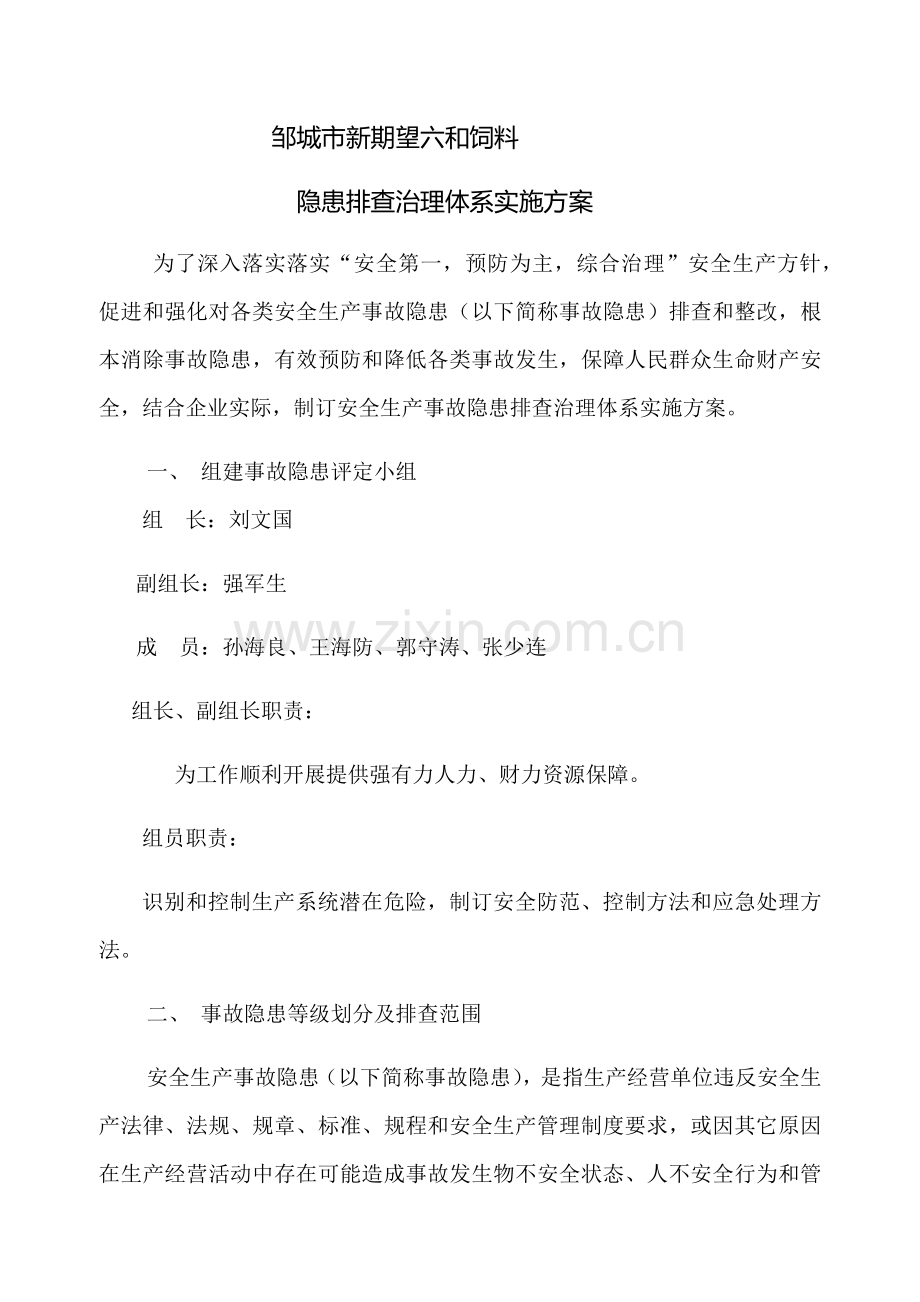 新希望六和饲料有限公司隐患排查治理综合体系实施专业方案.docx_第1页
