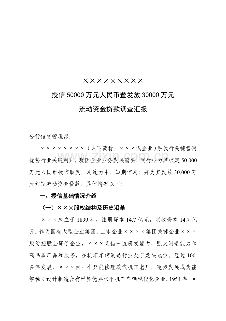 公司关于流动资金贷款的调查报告模板.doc_第1页