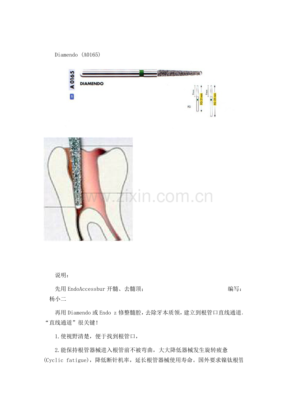 Protaper根管预备操作作业流程.doc_第2页