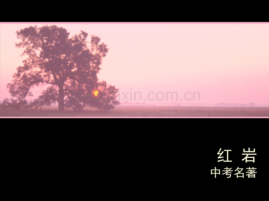 中考名著红岩复习资料省公共课一等奖全国赛课获奖课件.pptx_第1页