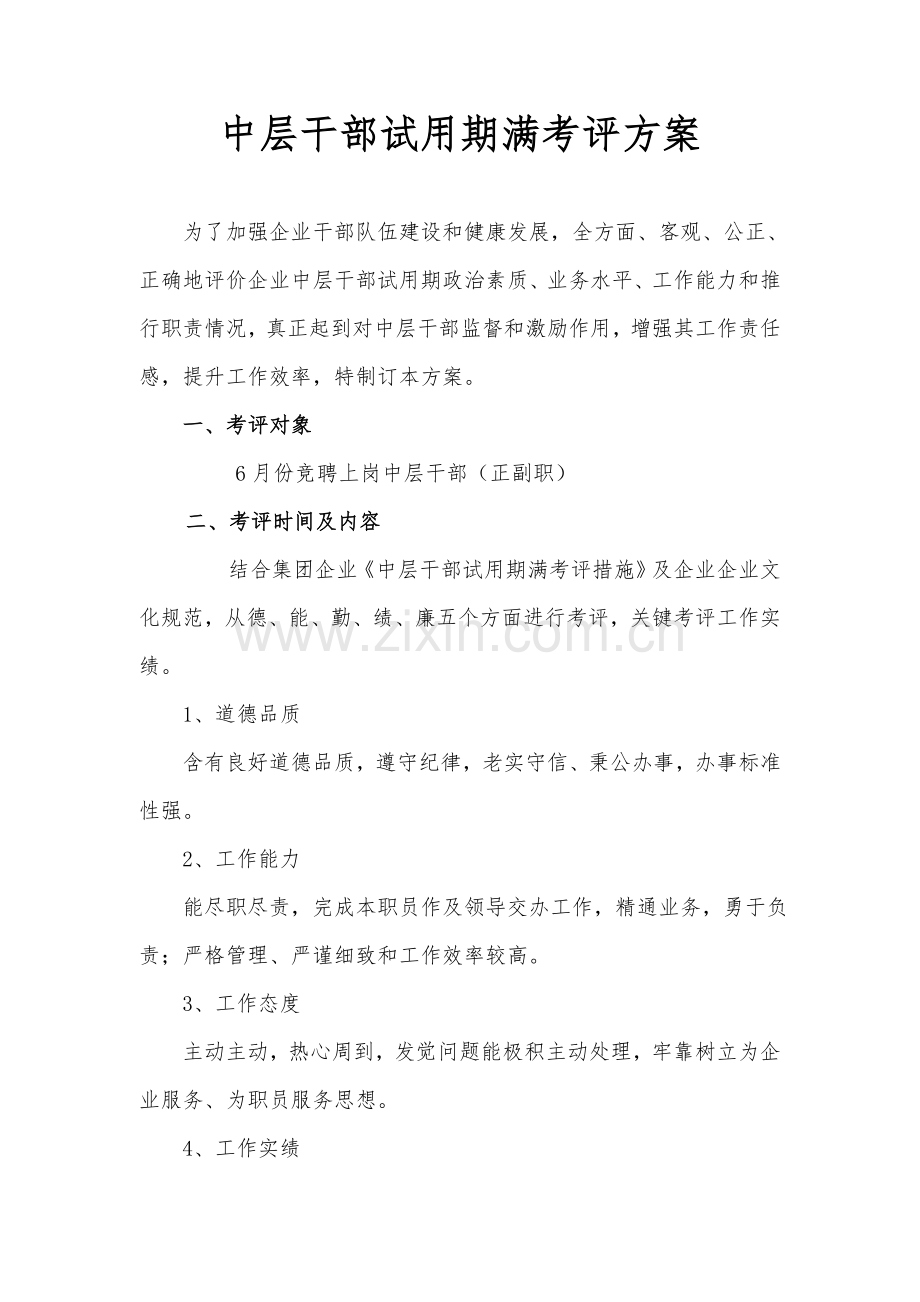 公司中层干部副职试用期考核实施专业方案.doc_第1页