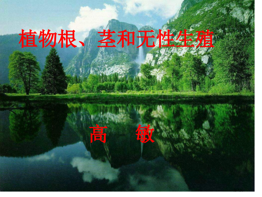 八年级生物植物的根省公共课一等奖全国赛课获奖课件.pptx_第1页