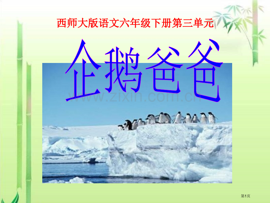 企鹅爸爸省公开课一等奖新名师比赛一等奖课件.pptx_第1页