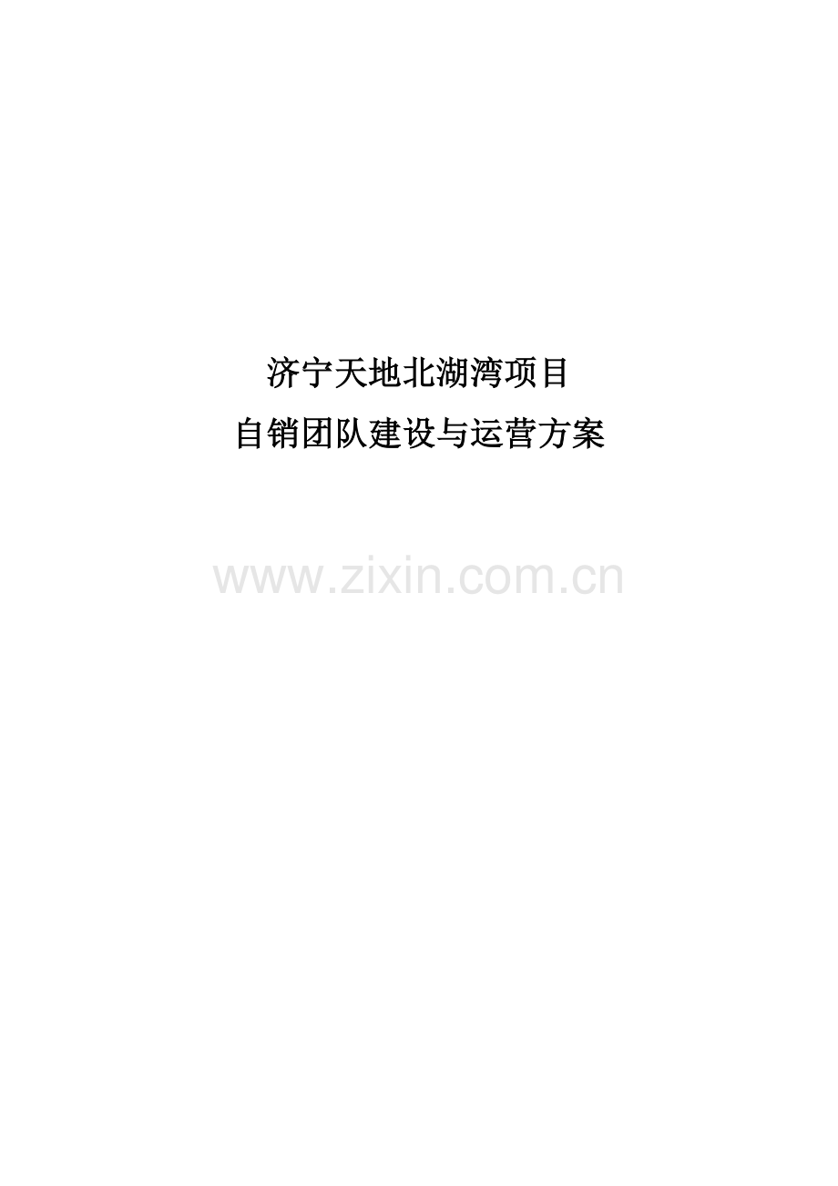 北湖湾专项项目团队建设与运行专题方案金宇.docx_第1页