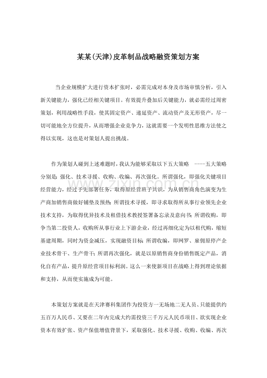 天津皮革制品有限公司战略融资策划案模板.doc_第1页