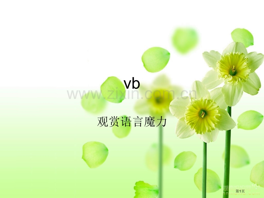 vb考试的知识点省公共课一等奖全国赛课获奖课件.pptx_第1页