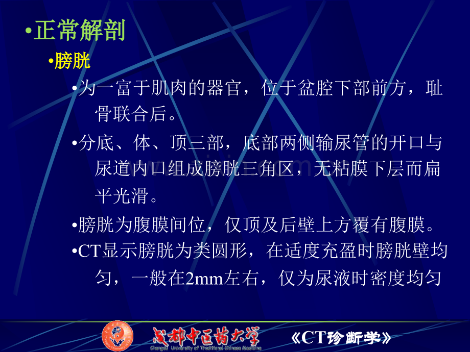 6盆腔CT检查医学PPT课件.ppt_第2页