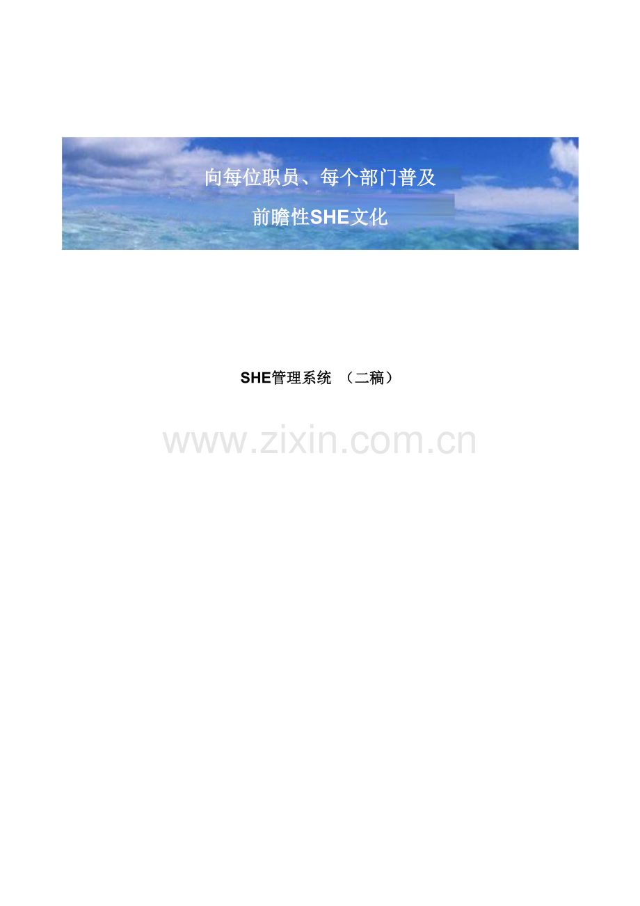 SHE标准管理系统.doc_第1页