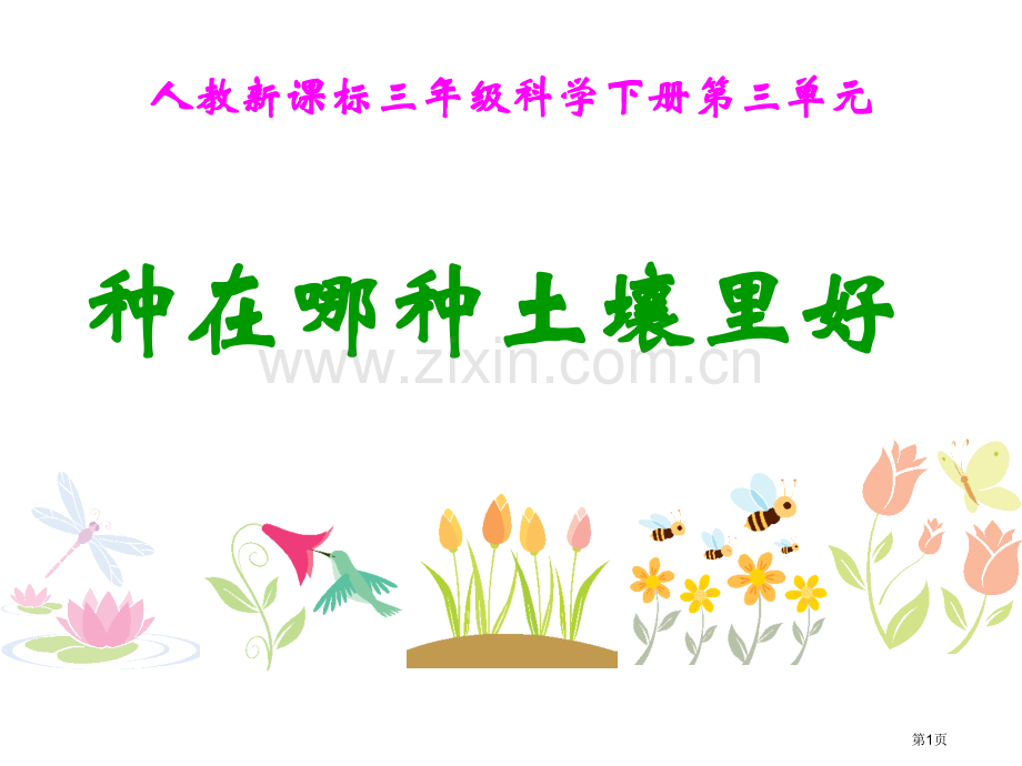 小学科学种在哪种土壤里好省公共课一等奖全国赛课获奖课件.pptx_第1页