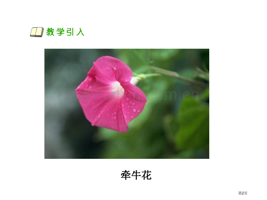 小学科学种在哪种土壤里好省公共课一等奖全国赛课获奖课件.pptx_第2页