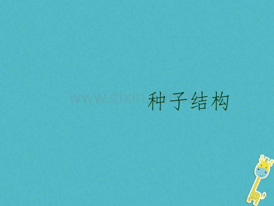 七年级生物上册3.1.2种子的结构讲义市公开课一等奖百校联赛特等奖大赛微课金奖PPT课件.pptx_第1页