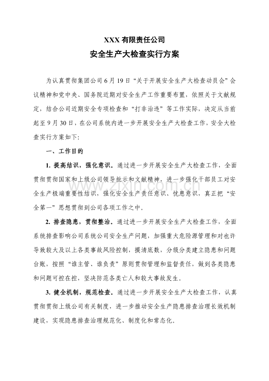 安全生产大检查专项方案.doc_第1页