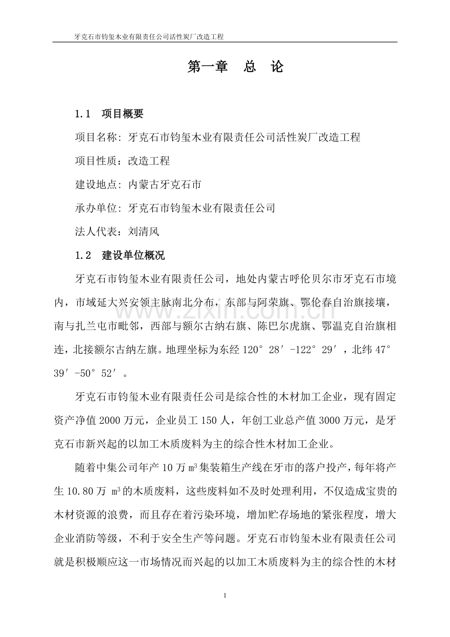2016年活性炭厂改造工程项目建设可研报告.doc_第1页