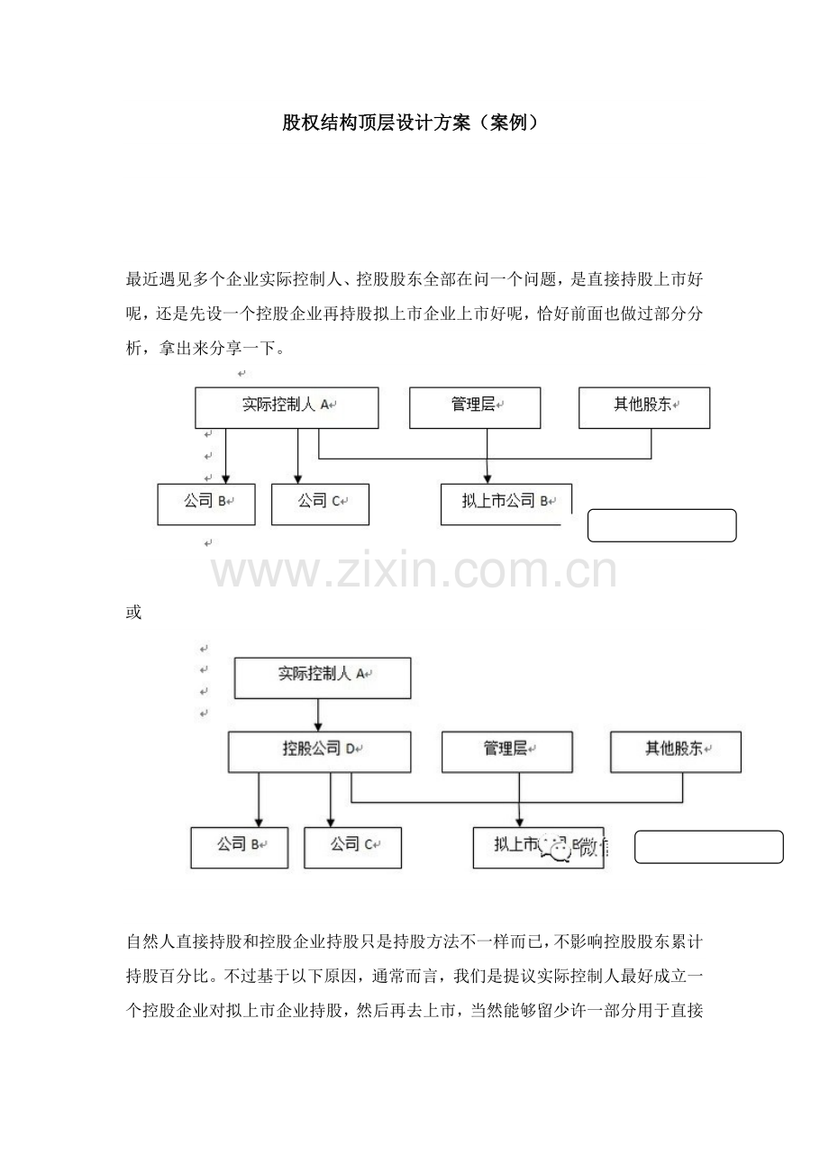 公司股权结构顶层设计专业方案案例.docx_第1页