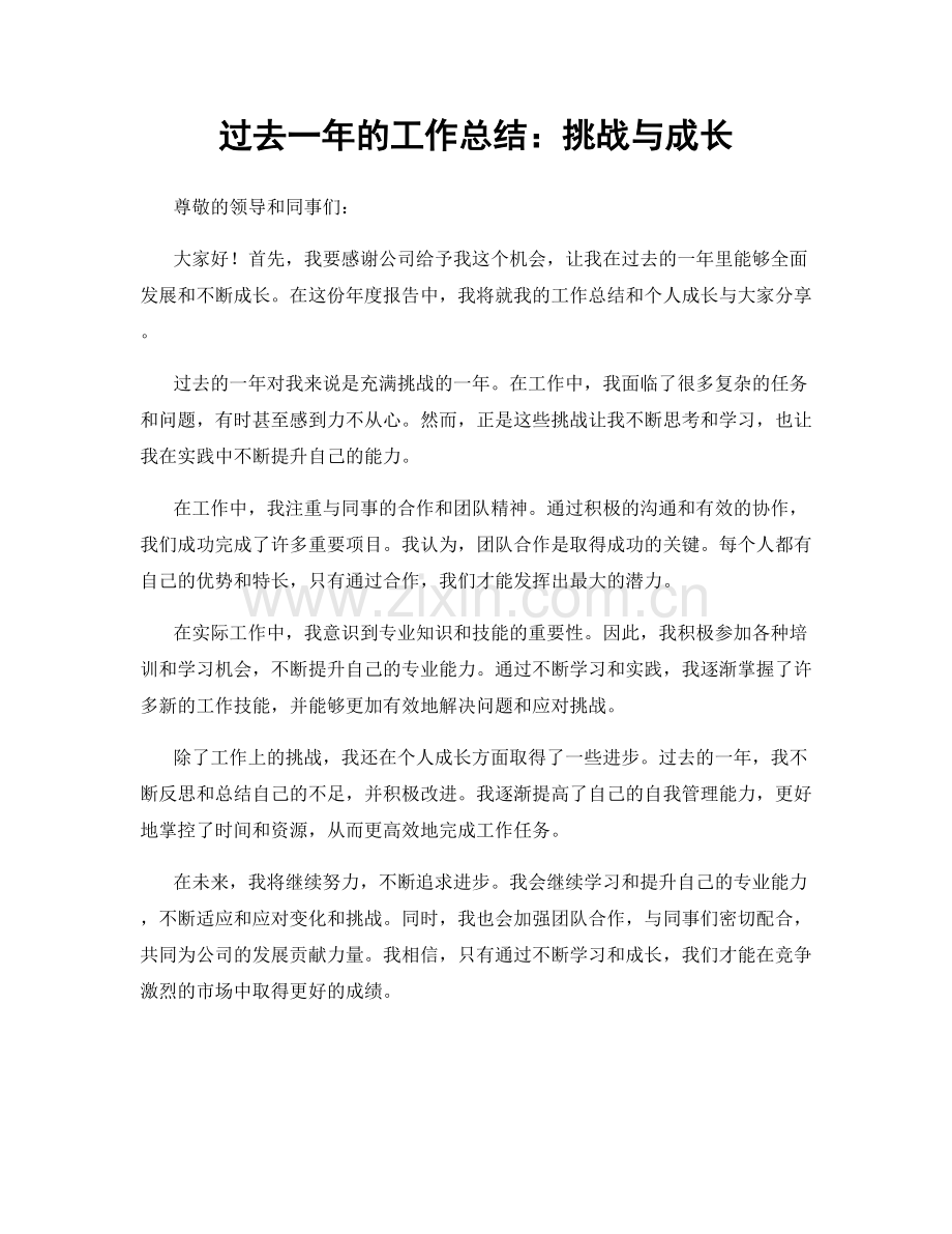 过去一年的工作总结：挑战与成长.docx_第1页
