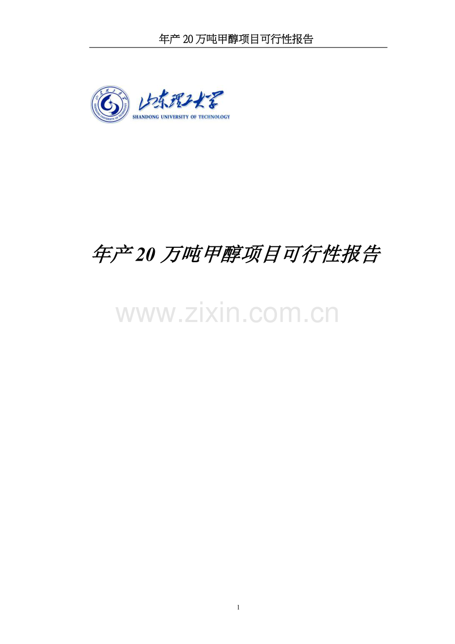 年产20万吨煤制甲醇生产工艺初步设计建设投资可行性分析报告.doc_第1页