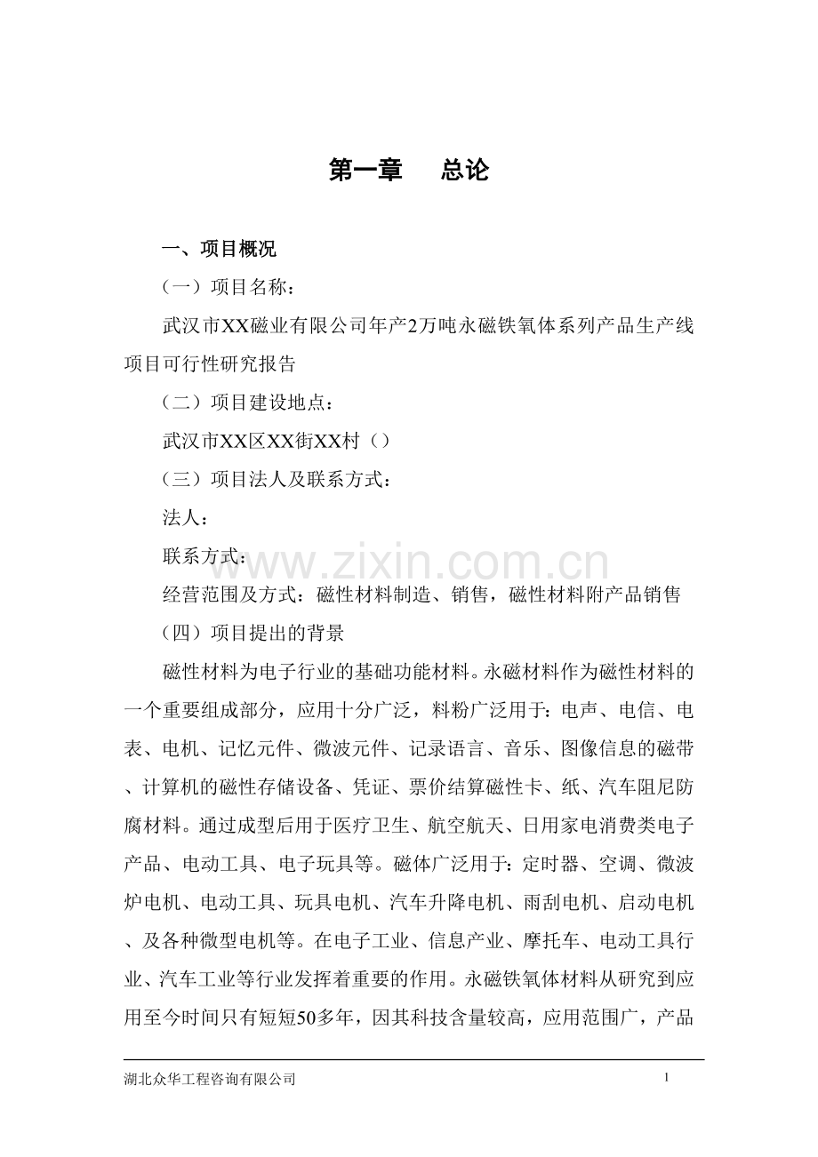 年产2万吨永磁铁氧体系列产品生产线项目可行性研究报告.doc_第1页