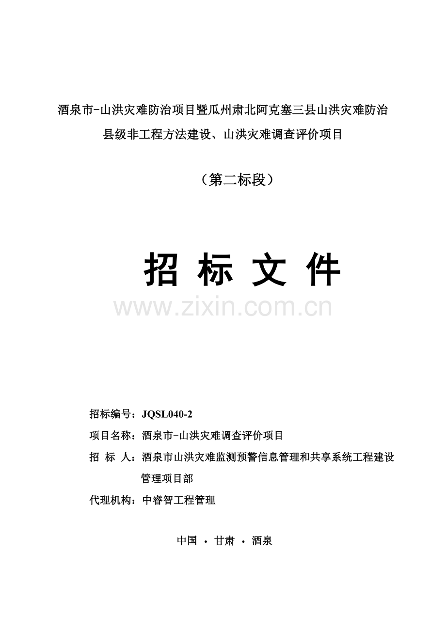 山洪灾害调查评价招标文件模板.doc_第1页