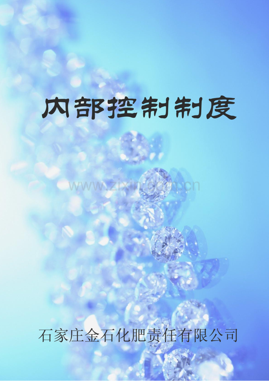 化肥有限公司内部控制制度模板.doc_第1页