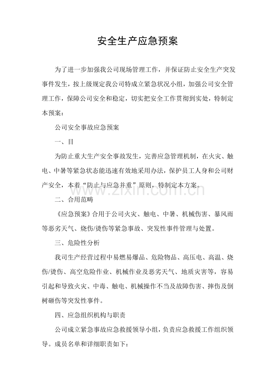 公司安全应急专项预案.doc_第1页