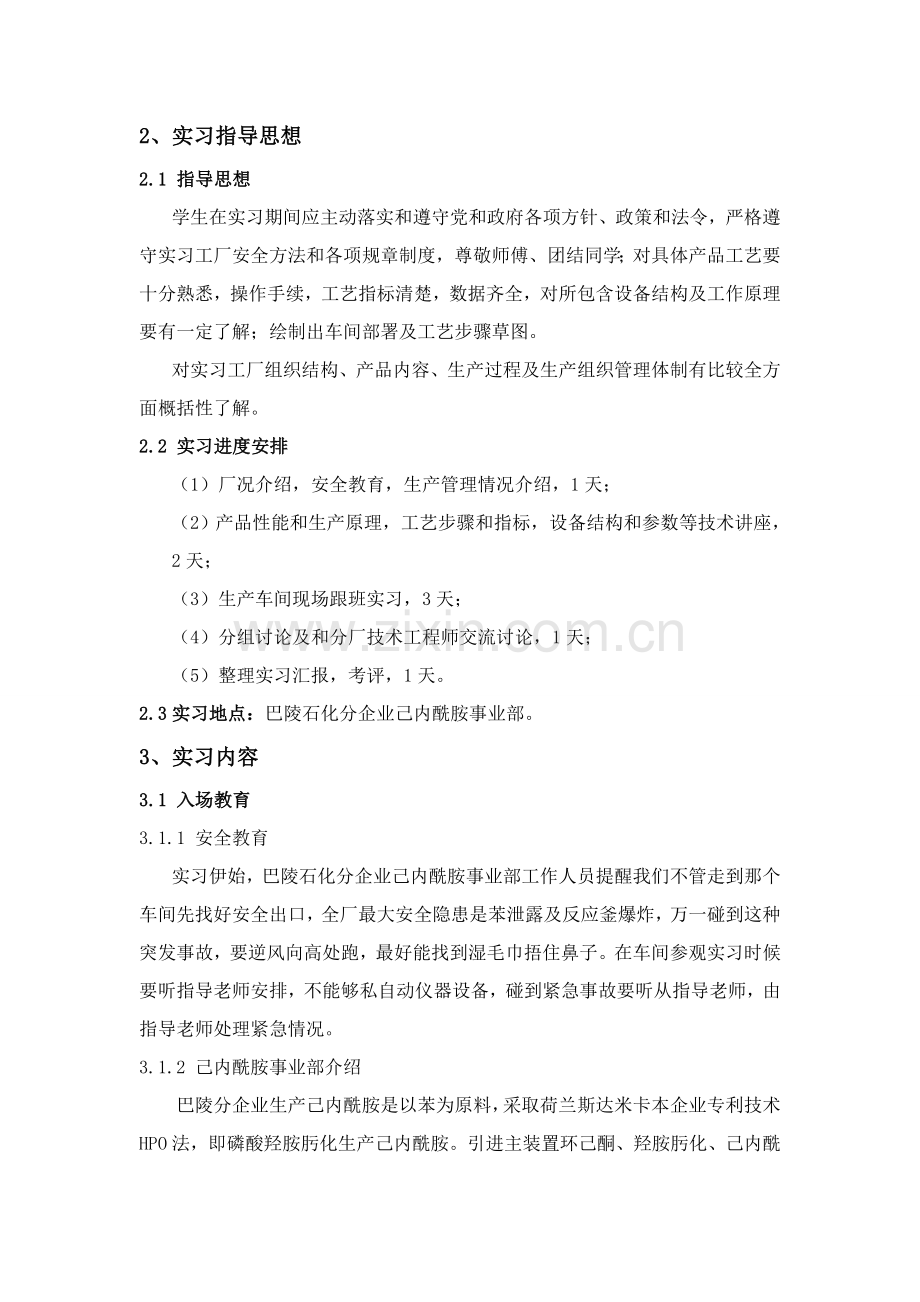 己内酰胺合成工艺实习报告模板.doc_第2页