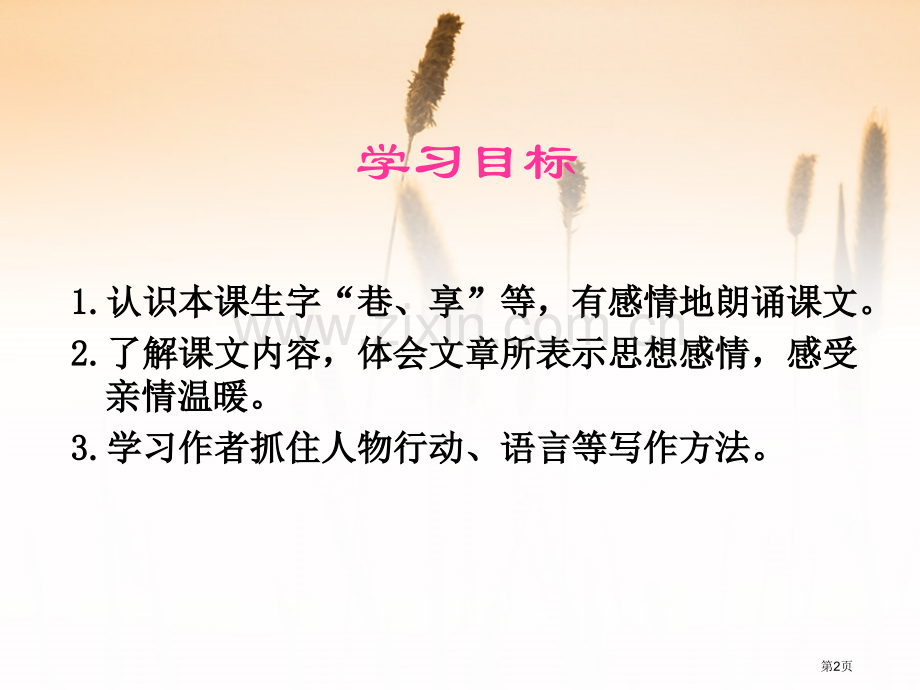 心中那盏灯省公开课一等奖新名师比赛一等奖课件.pptx_第2页
