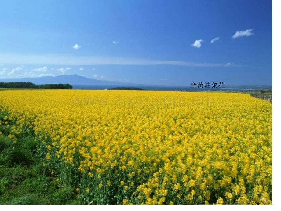 年级下册识字1课件市公开课一等奖百校联赛特等奖课件.pptx_第2页