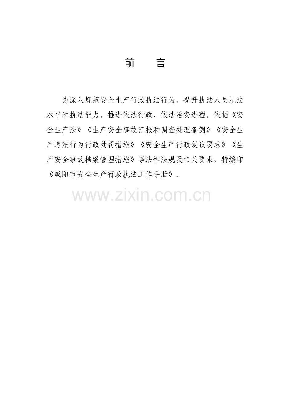 咸阳市安全生产行政执法工作手册模板.doc_第2页