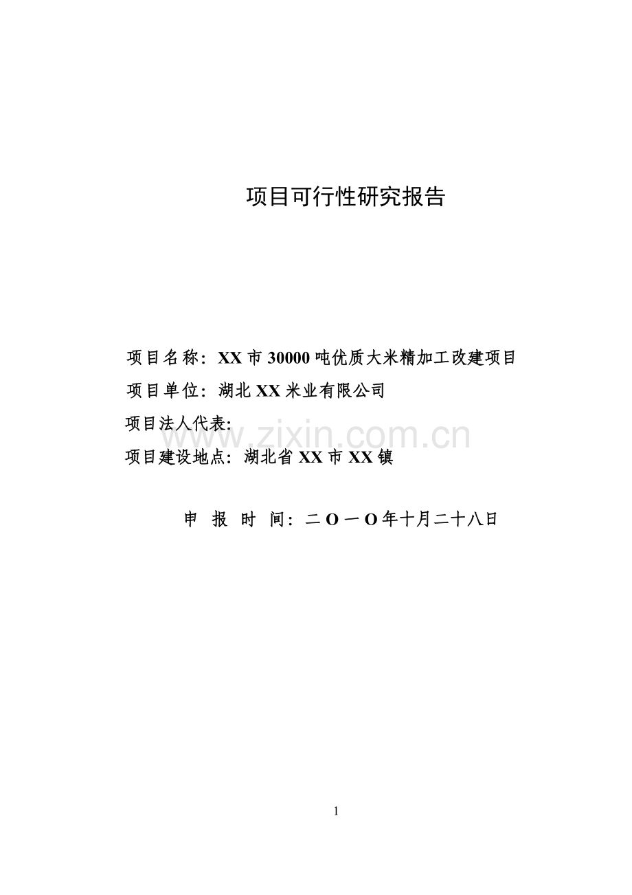 30000吨优质大米精加工改建可行性研究报告.doc_第1页