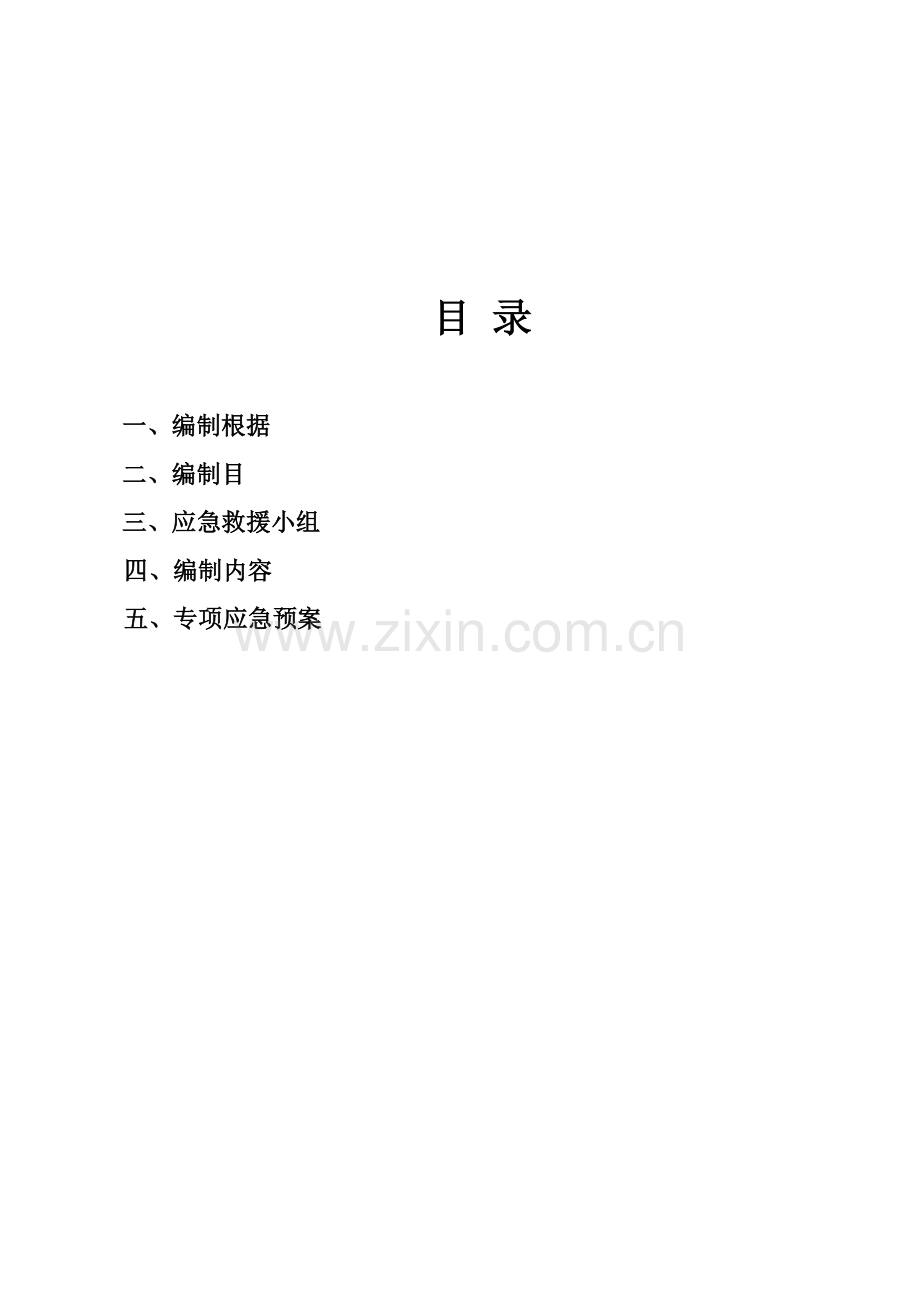 市政综合项目工程安全应急专项预案.doc_第2页