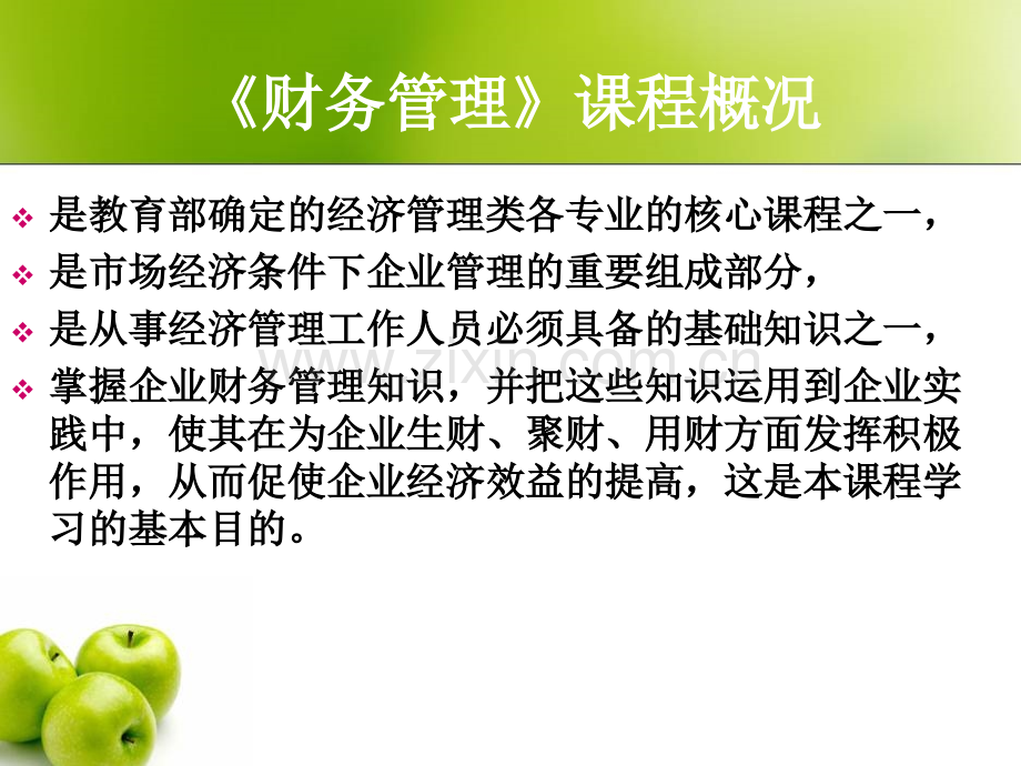 安徽财经大学财务管理.ppt_第2页