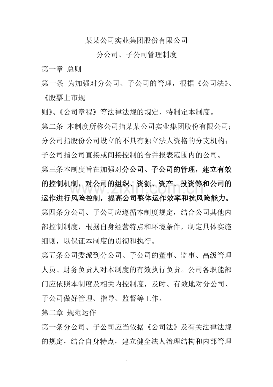 分子公司管理制度.doc_第1页