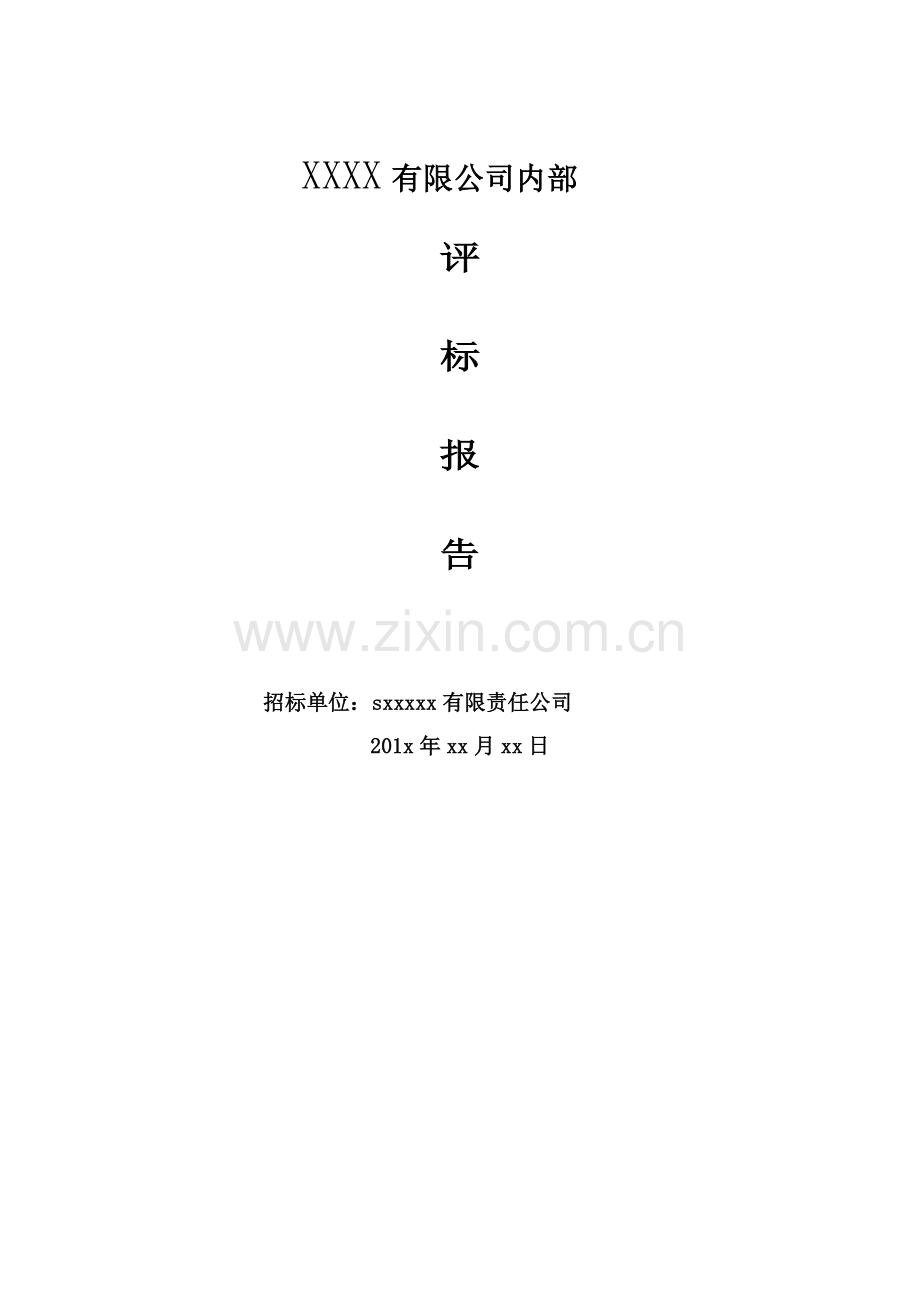 招投标内部评标报告.doc_第2页