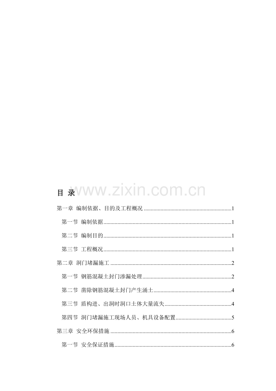 洞门堵漏方案.doc_第1页