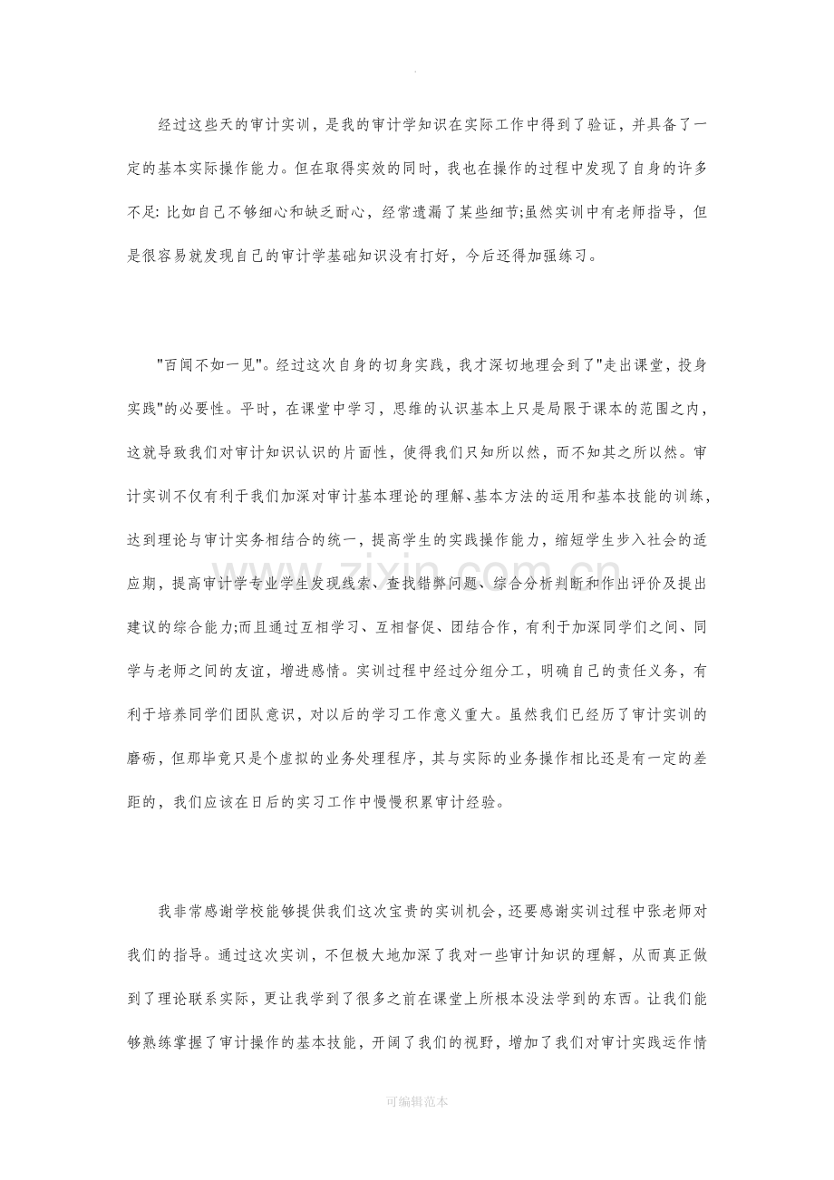审计模拟实训心得3篇.doc_第2页