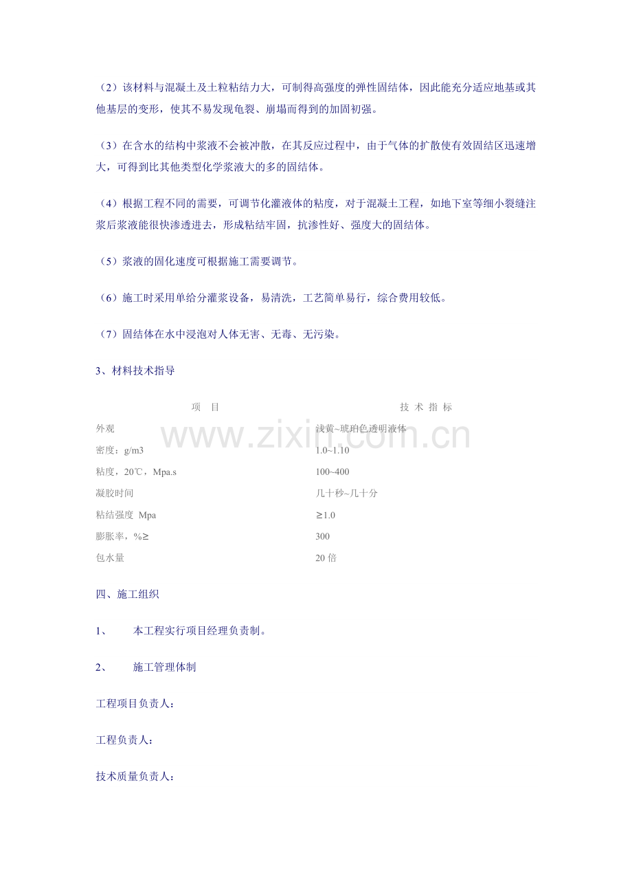华能电厂高压灌注防水堵漏施工方案.doc_第2页