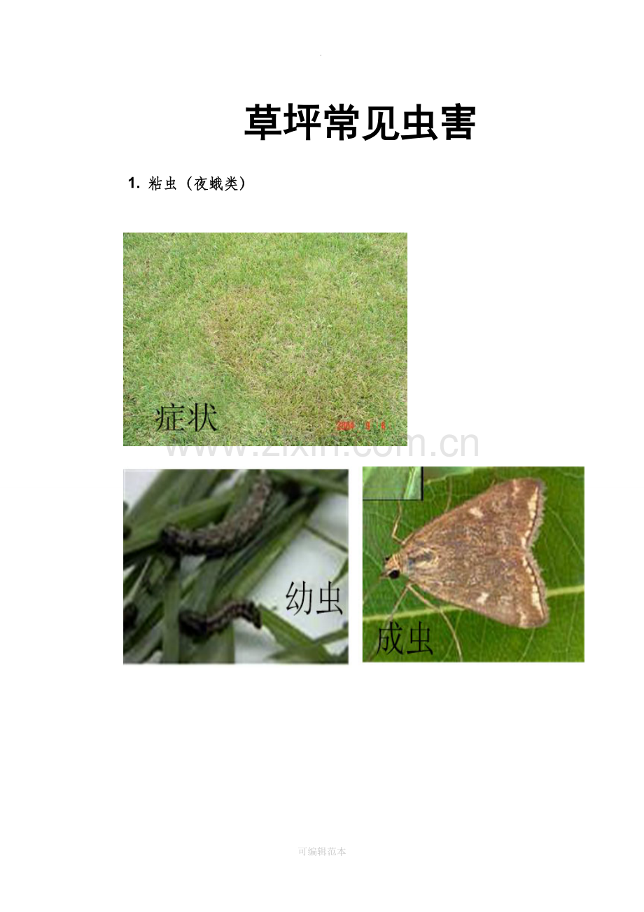 园林草坪常见虫害.doc_第1页