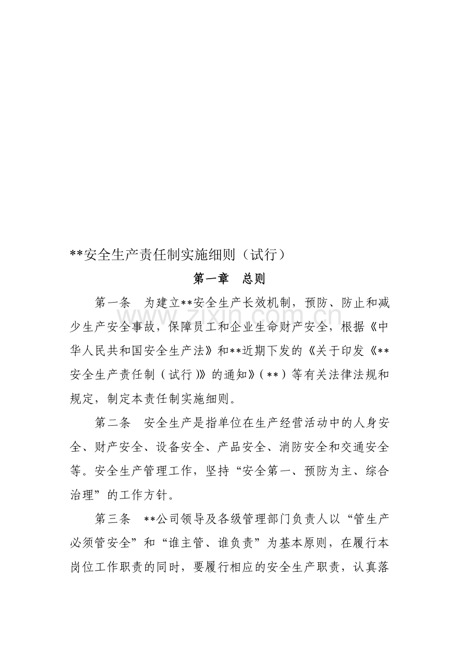 公司安全生产责任制实施细则.doc_第1页