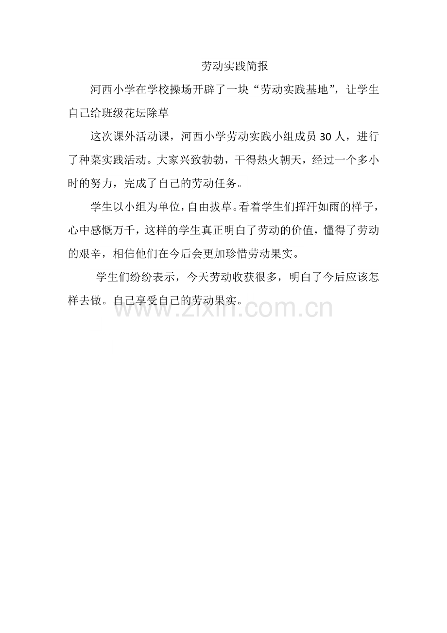 劳动实践简报.docx_第1页