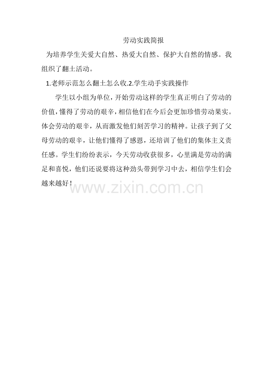 劳动实践简报.docx_第2页
