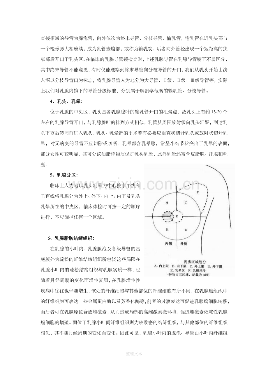 乳腺正常解剖组胚结构.doc_第2页