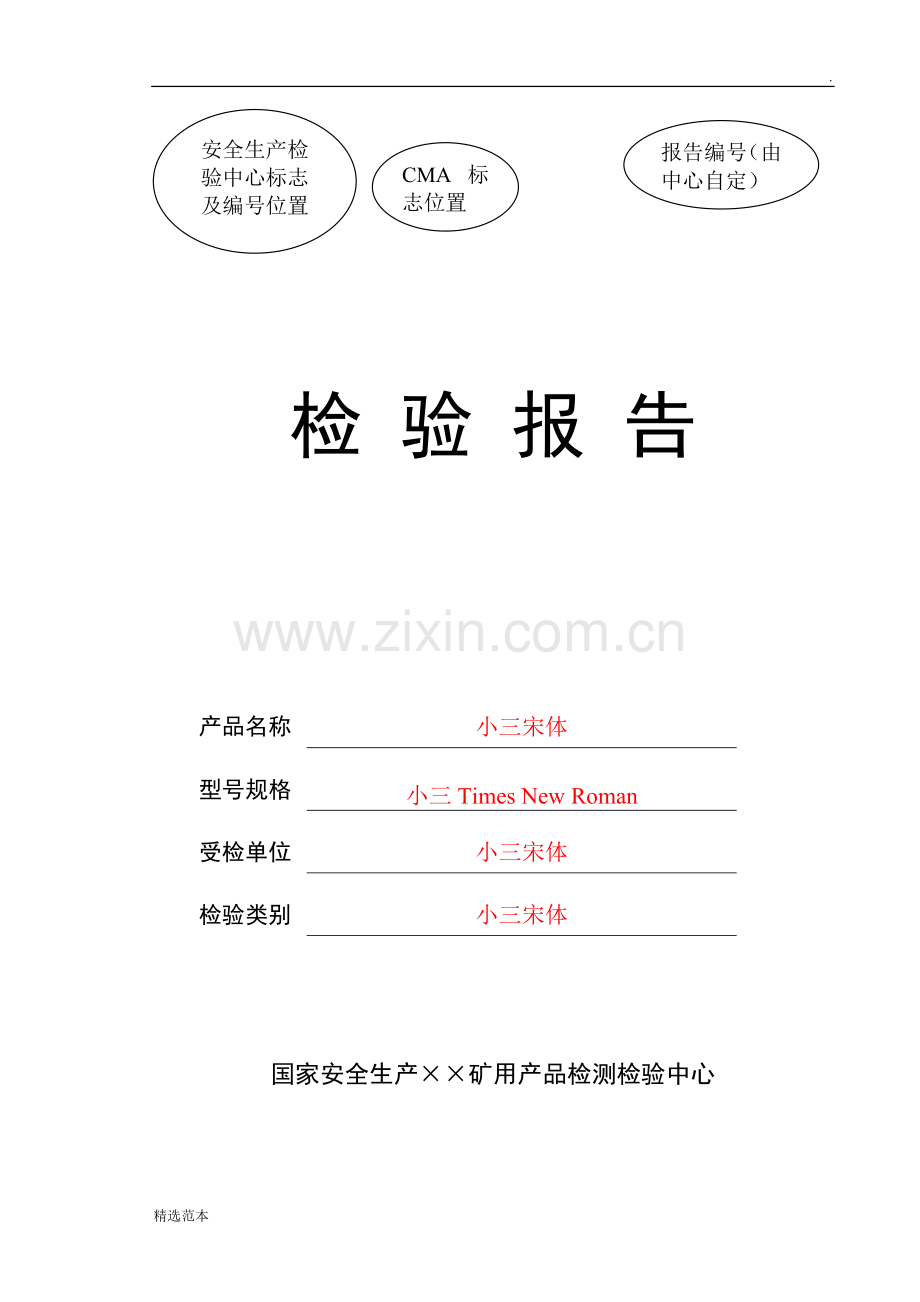 安标检验报告格式.doc_第1页