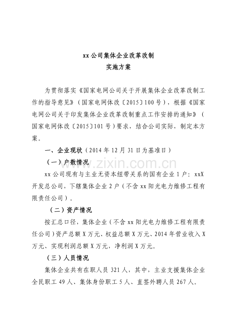电力公司集体企业改革改制方案.doc_第1页