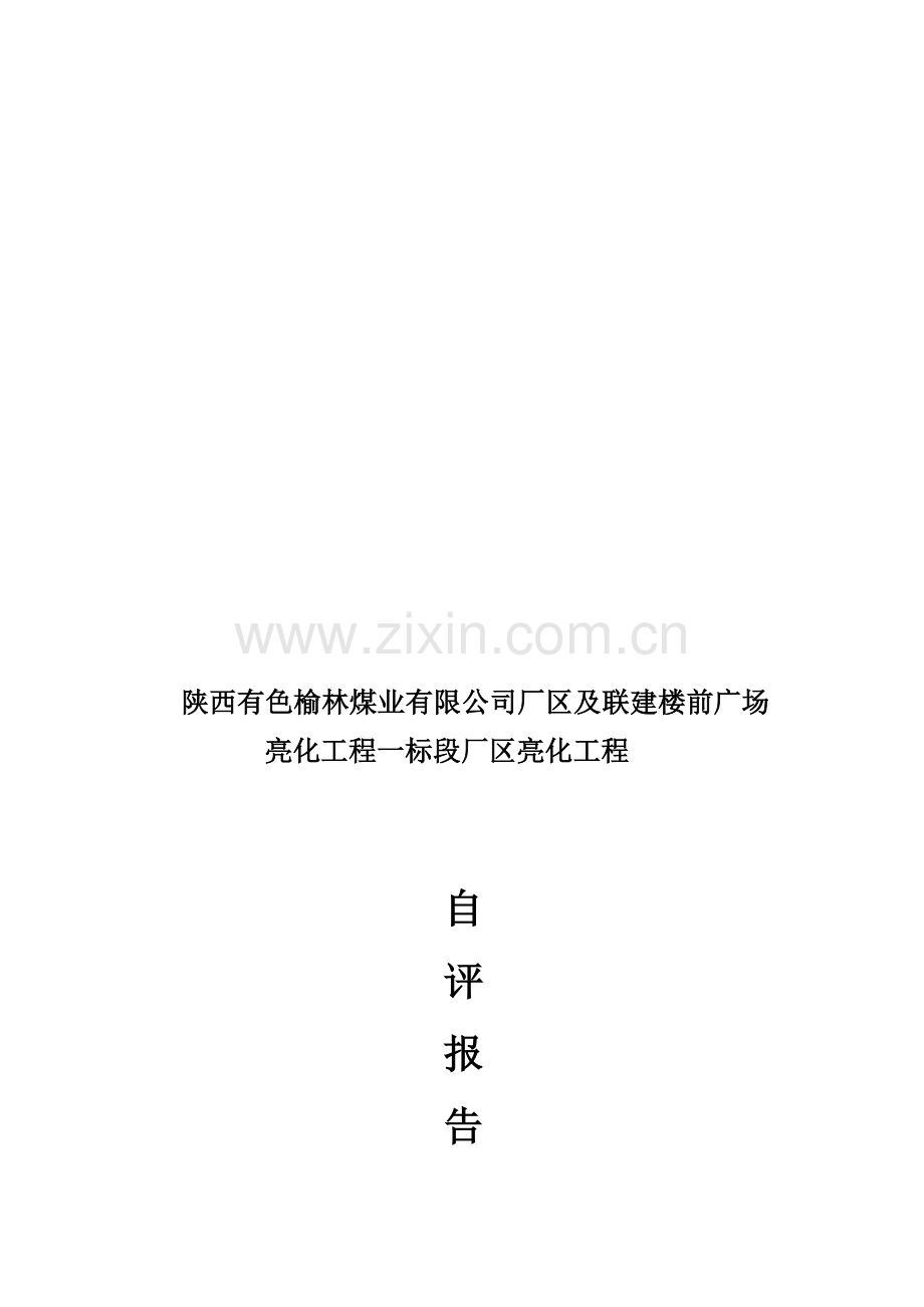亮化自评报告.doc_第1页
