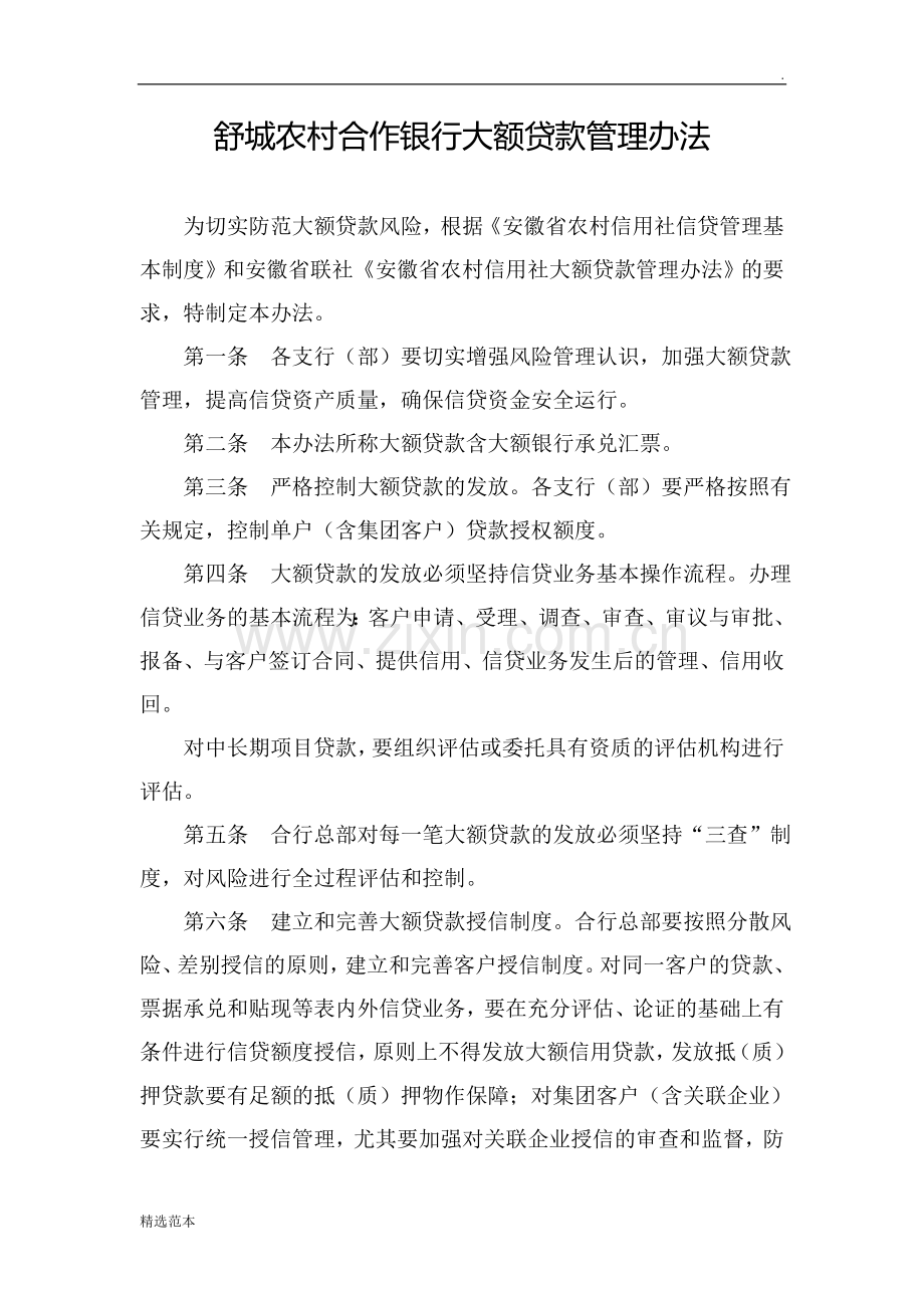 大额贷款管理办法.doc_第1页