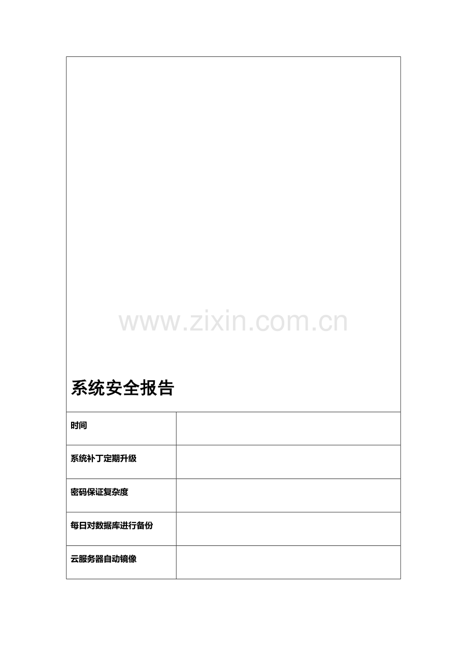系统安全报告.doc_第1页