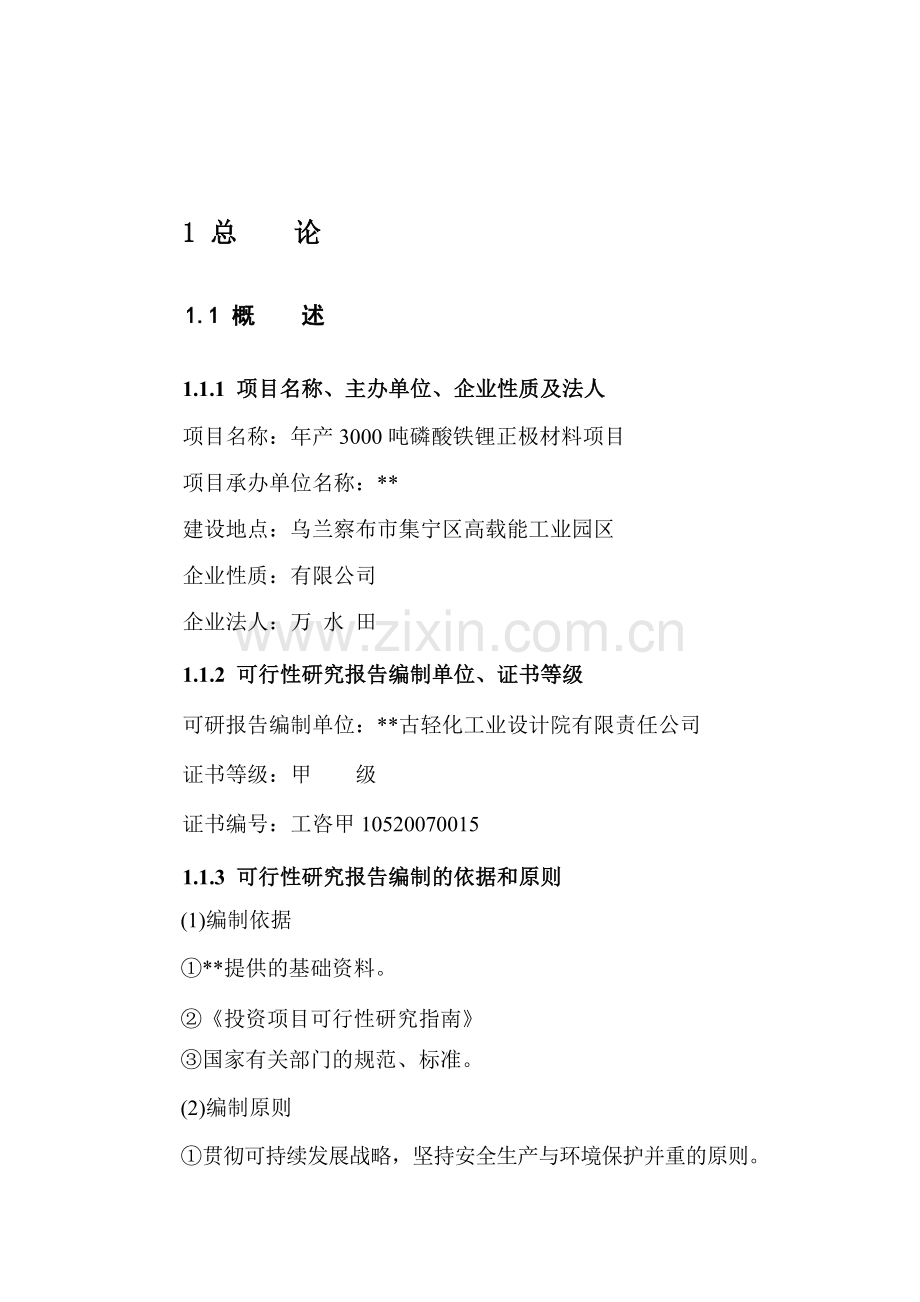 年产3000吨磷酸铁锂正极材料项目可行性研究报告.doc_第2页